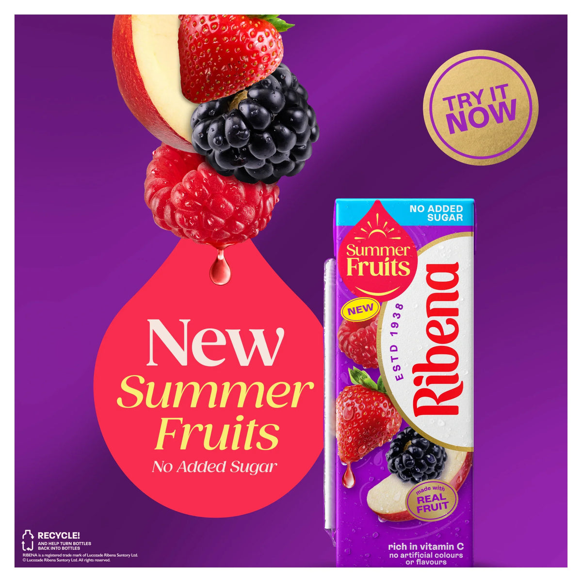 Summer Fruits No Added Sugar Juice by RIBENA at The British Vault