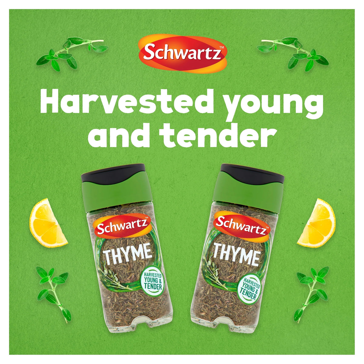 Thyme 11g by Schwartz