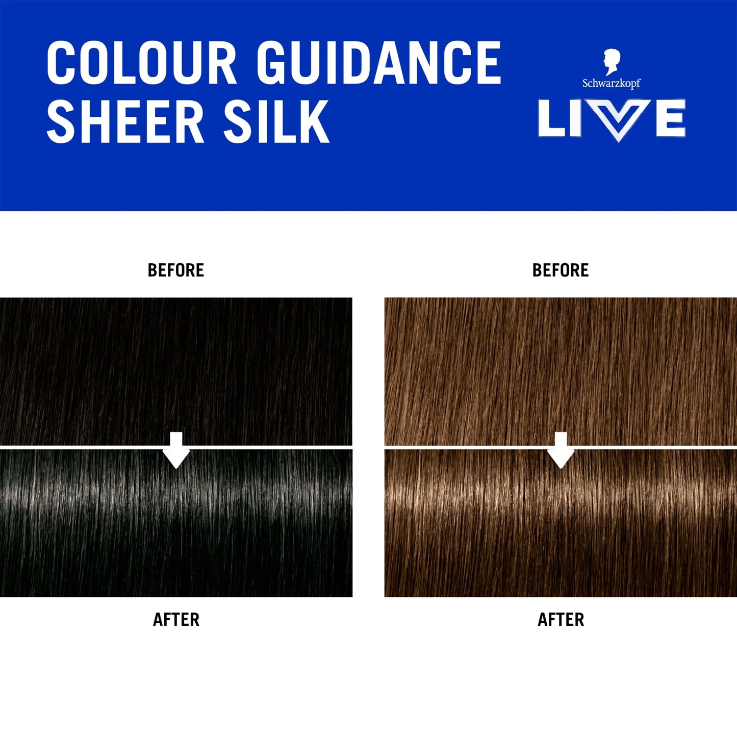 Live Go Gloss Sheer Silk Colour & by SCHWARZKOPF