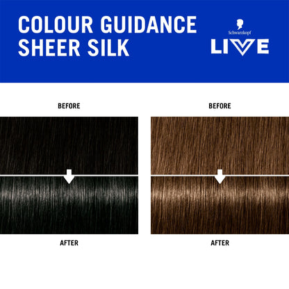 Live Go Gloss Sheer Silk Colour & by SCHWARZKOPF