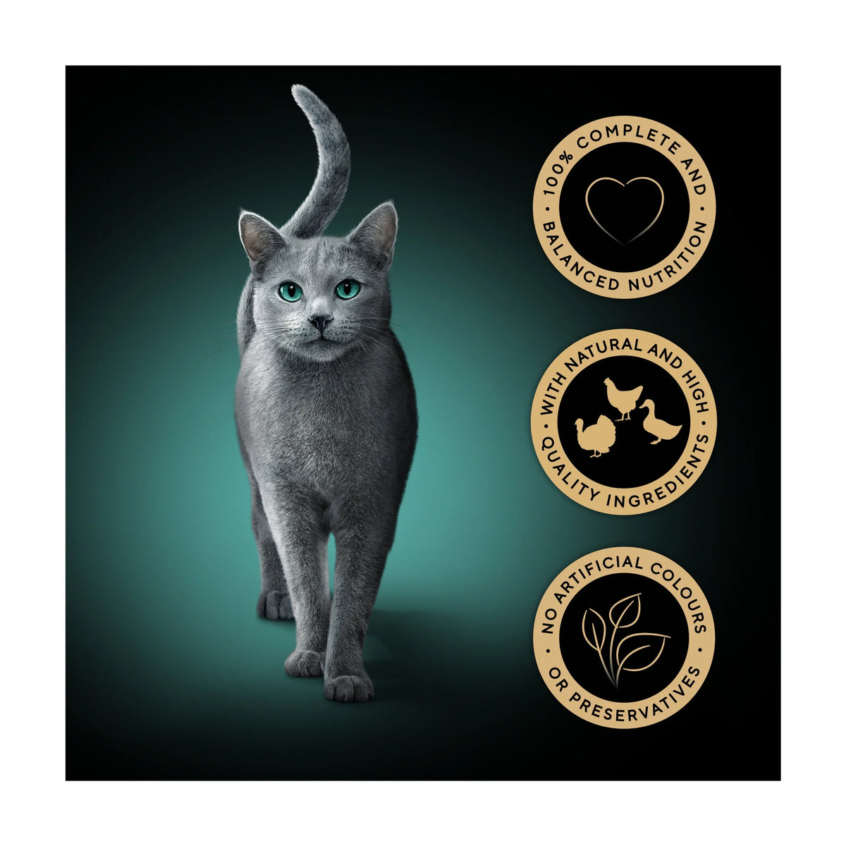 Fresh & Fine Wet Cat Food Pouches by Sheba at The British Vault