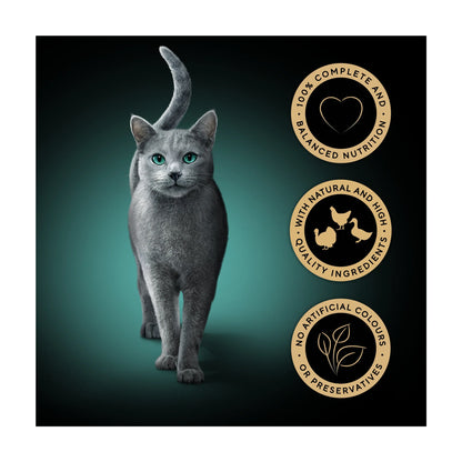 Fresh & Fine Wet Cat Food Pouches by Sheba at The British Vault