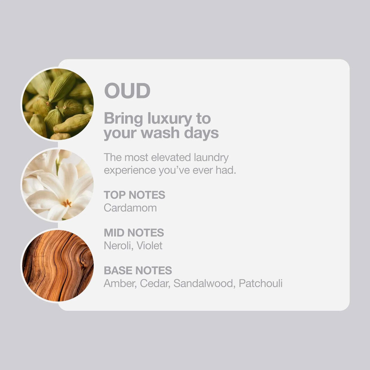 Tallow + Ash Oud Laundry Conditioner 800ml by TALLOW+ASH