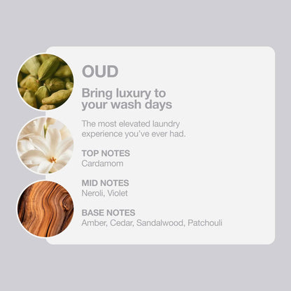 Tallow + Ash Oud Laundry Conditioner 800ml by TALLOW+ASH