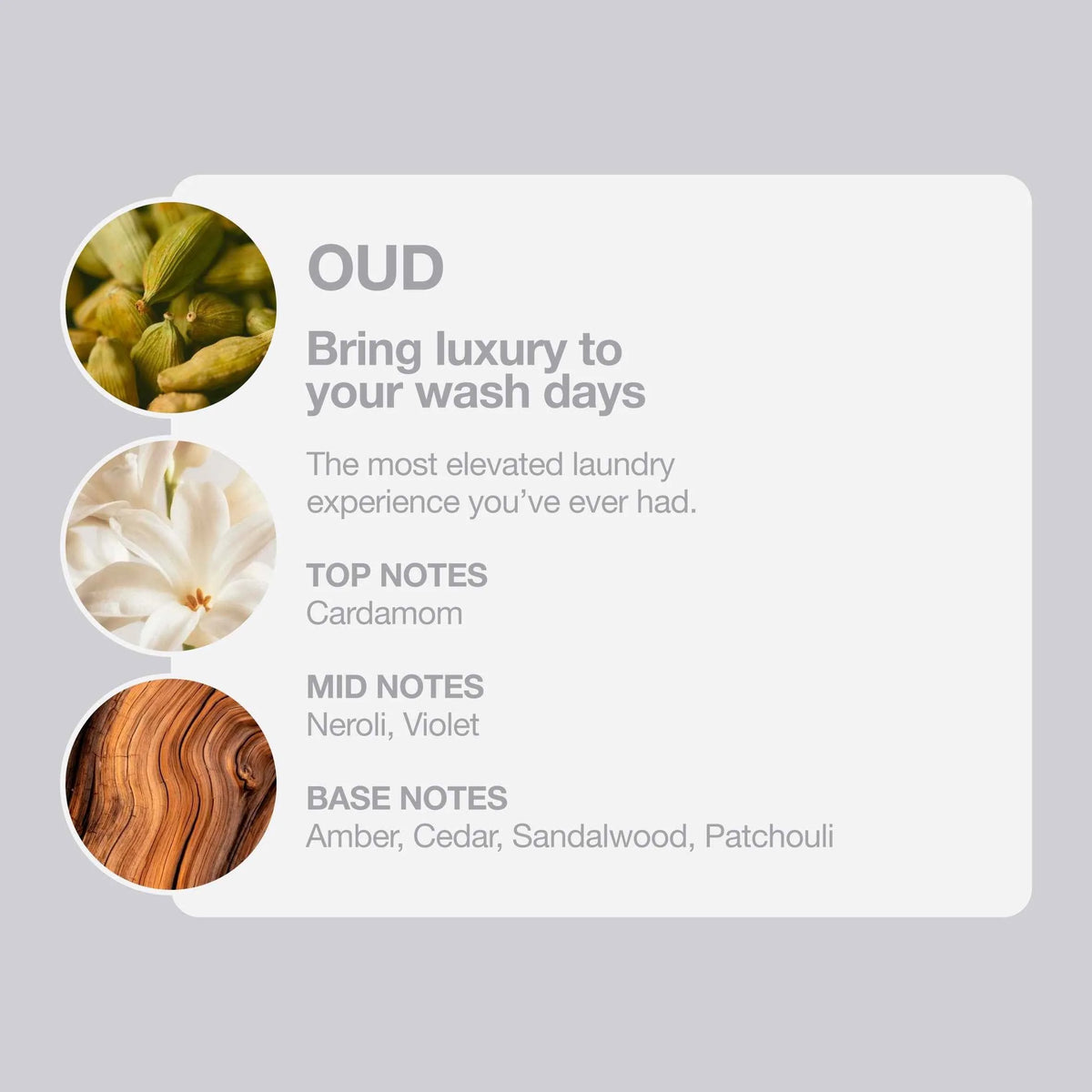 Tallow + Ash Oud Laundry Shampoo 800ml by TALLOW+ASH