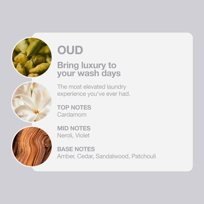 Tallow + Ash Oud Laundry Shampoo 800ml by TALLOW+ASH