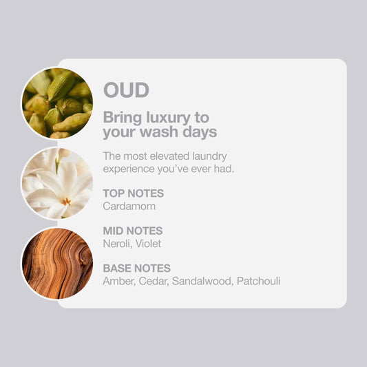 Tallow + Ash Oud Laundry Shampoo 800ml by TALLOW+ASH