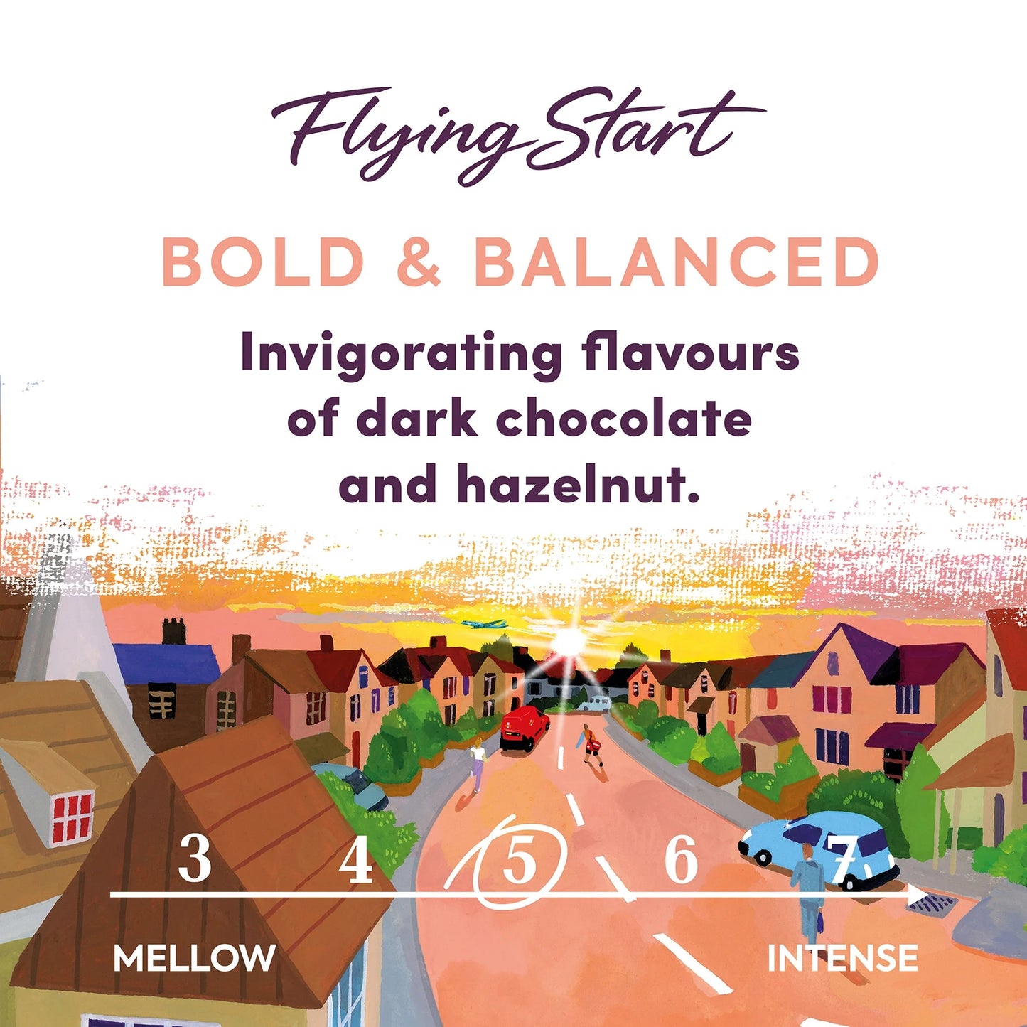Taylors Flying Start Coffee Bags 10s 75g by TAYLORS OF HARROGATE