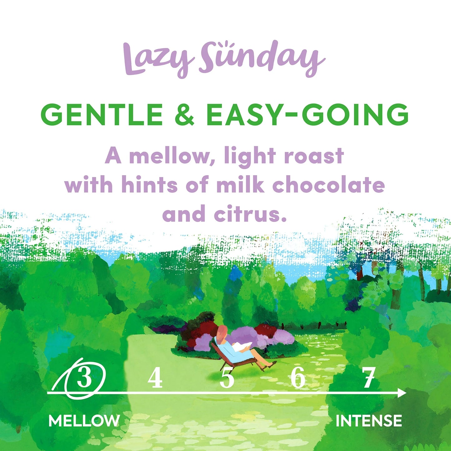 Taylors Lazy Sunday Roast Ground Coffee 200g by TAYLORS OF HARROGATE