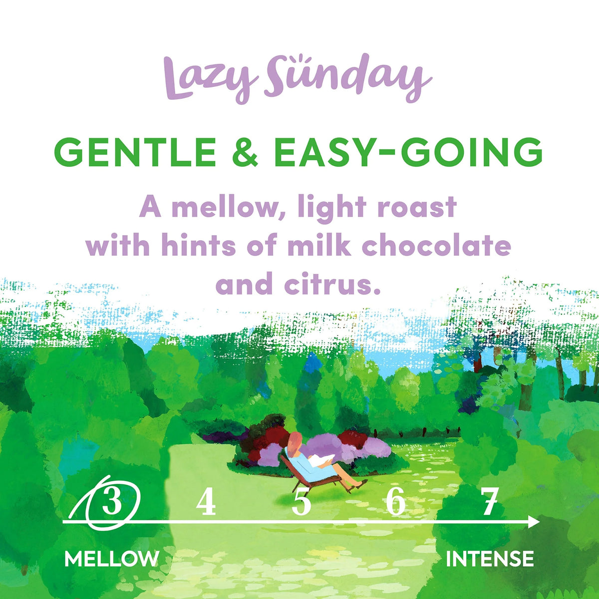 Lazy Sunday Beans Roast by TAYLORS OF HARROGATE