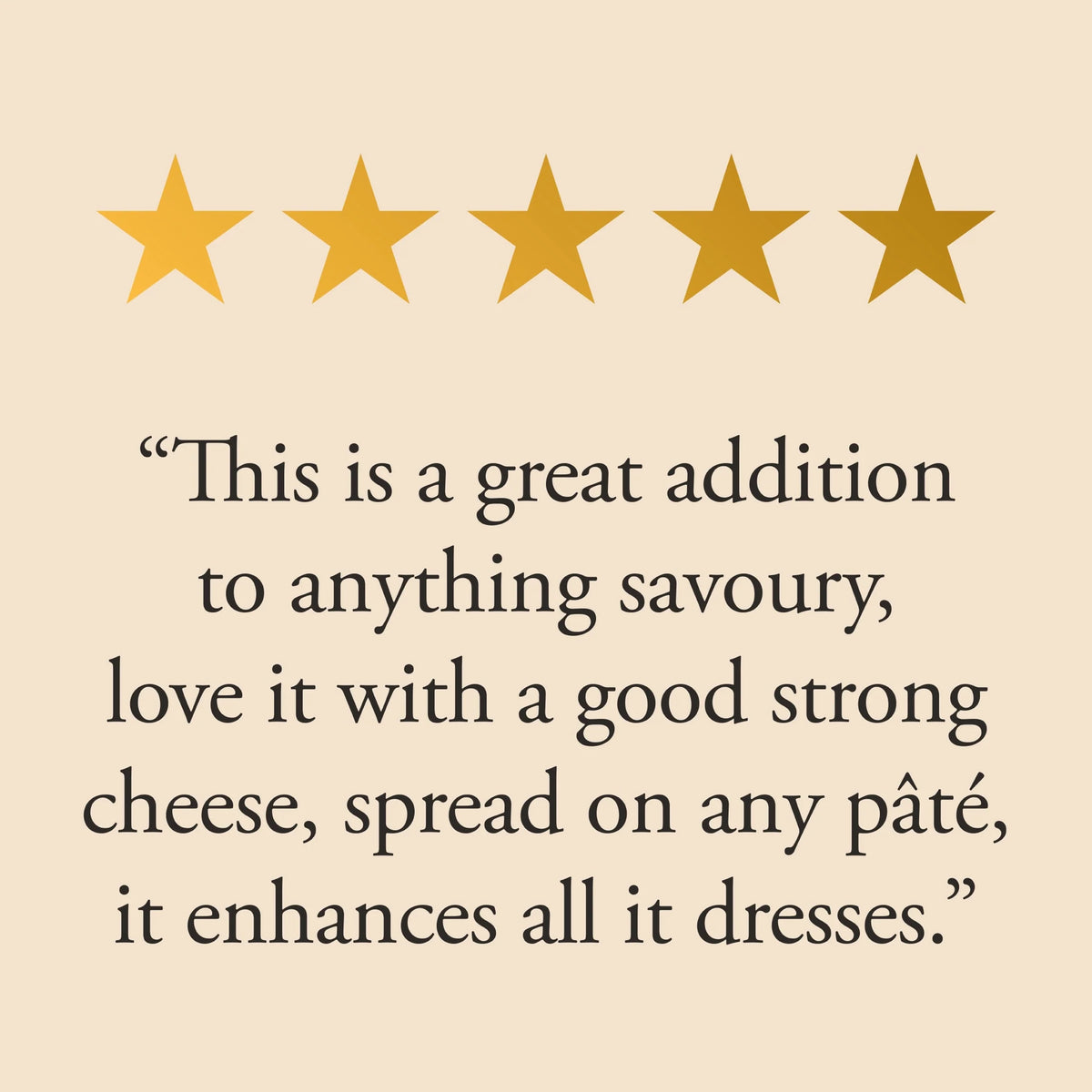 Ploughmans Plum Chutney 210g by TIPTREE