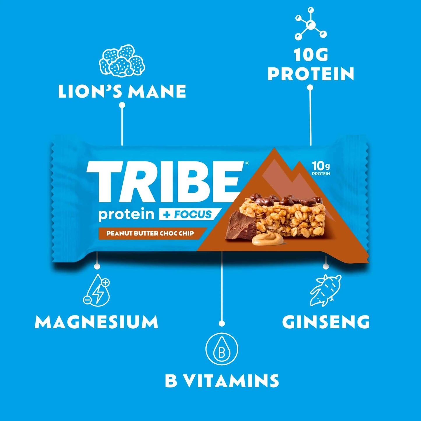 Protein & Focus Peanut Butter Chocolate by TRIBE