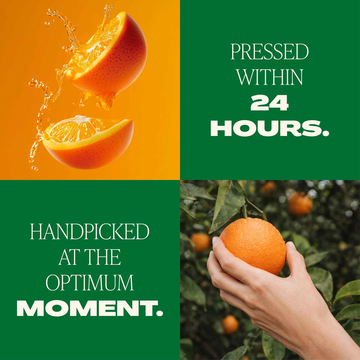 Original Orange Fruit Juice With by TROPICANA
