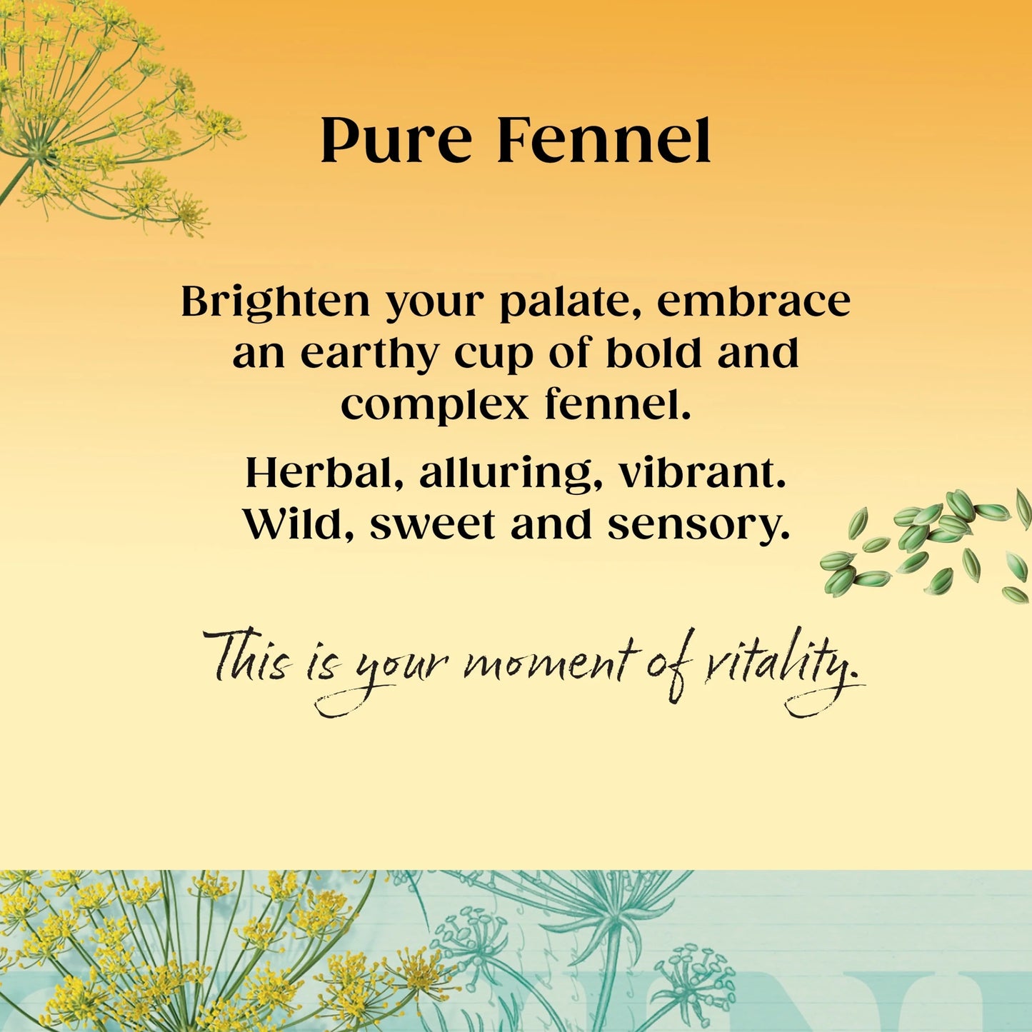 Fennel 20 Tea Bags 40g by TWININGS