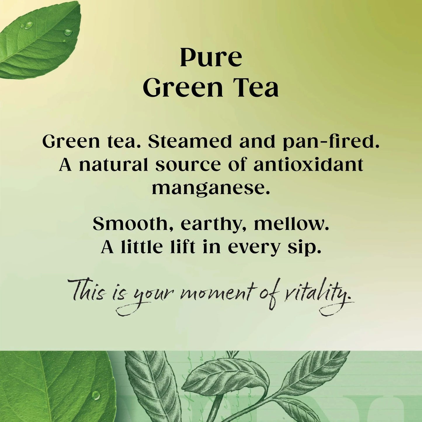 Green Tea 80 Tea Bags 200g by TWININGS