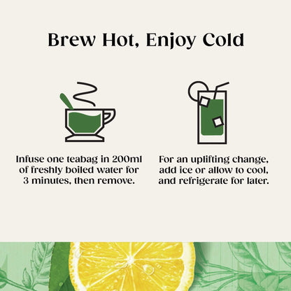 Green Tea Classic Collection 20 Tea by TWININGS