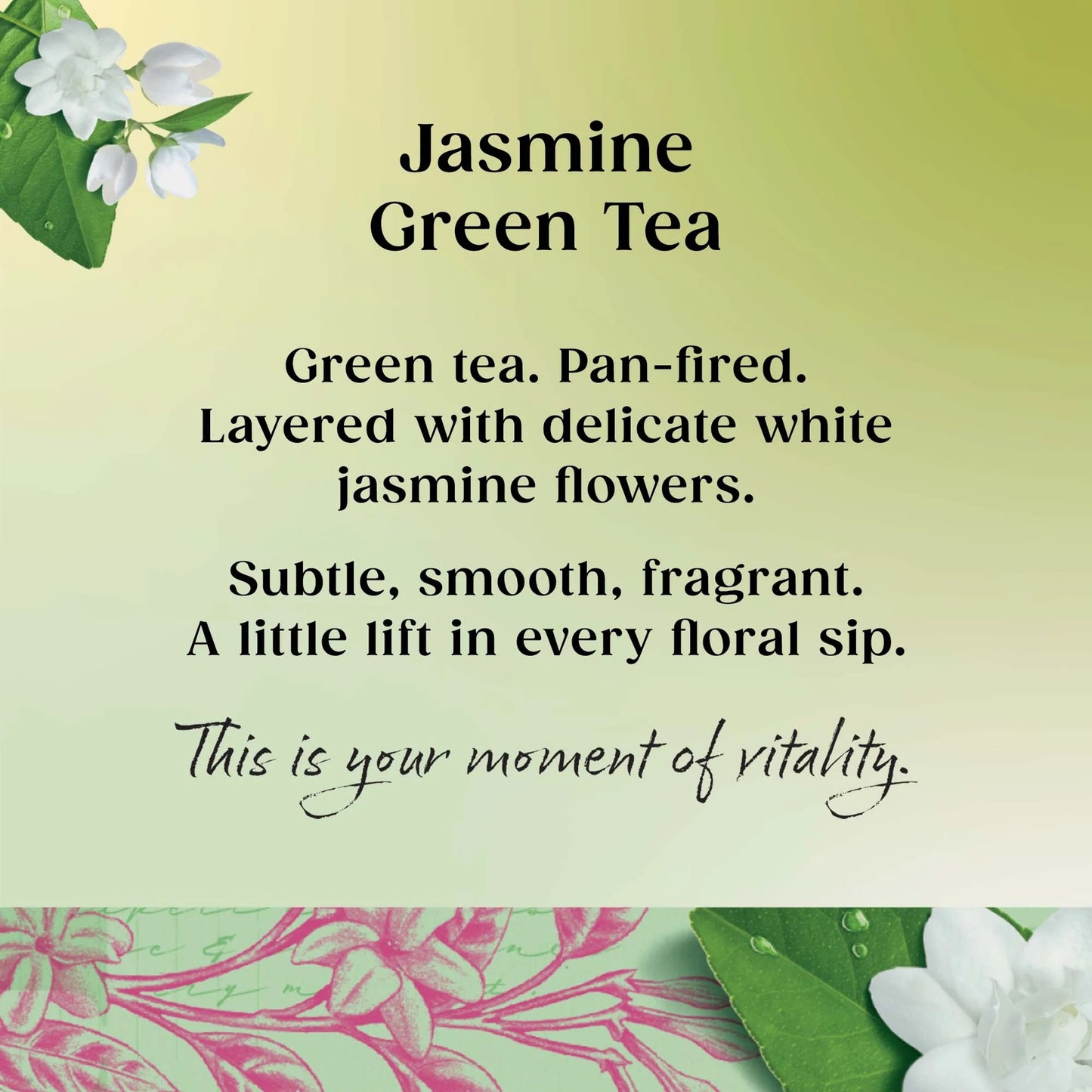 Jasmine Green Tea 20 Pack 50g by TWININGS