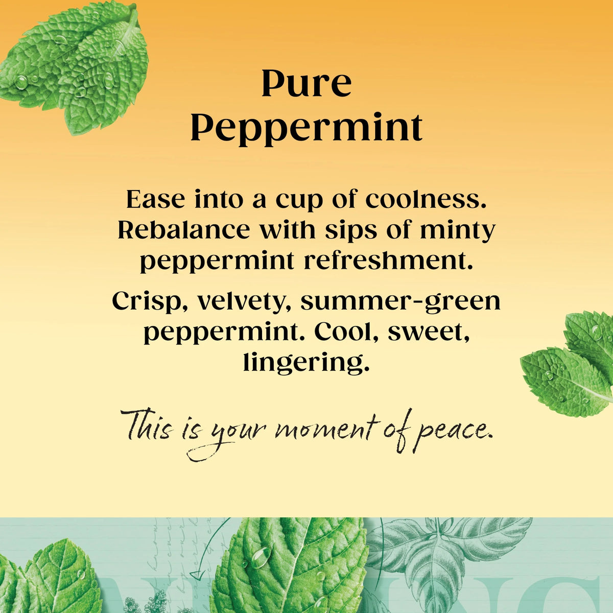 Pure Peppermint Tea Bags 20 Pack 40g by TWININGS