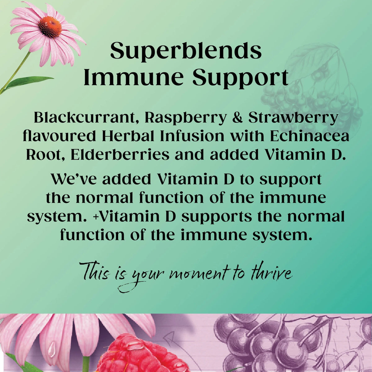 Superblends Immune Support Blackcurrant & Raspberry 20 Tea by TWININGS