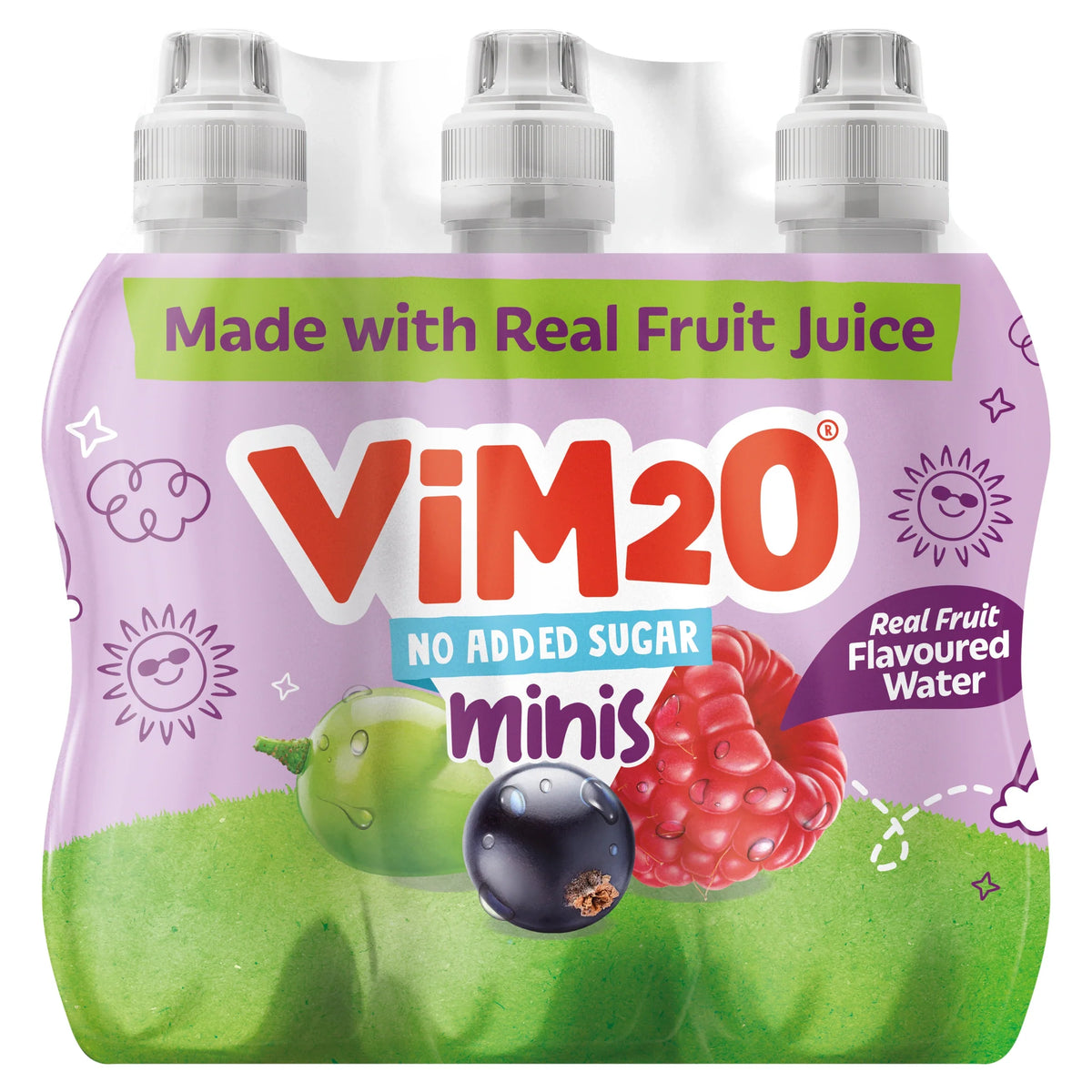 Minis Real Fruit Flavoured Water 6x250ml by ViM2O at The British Vault