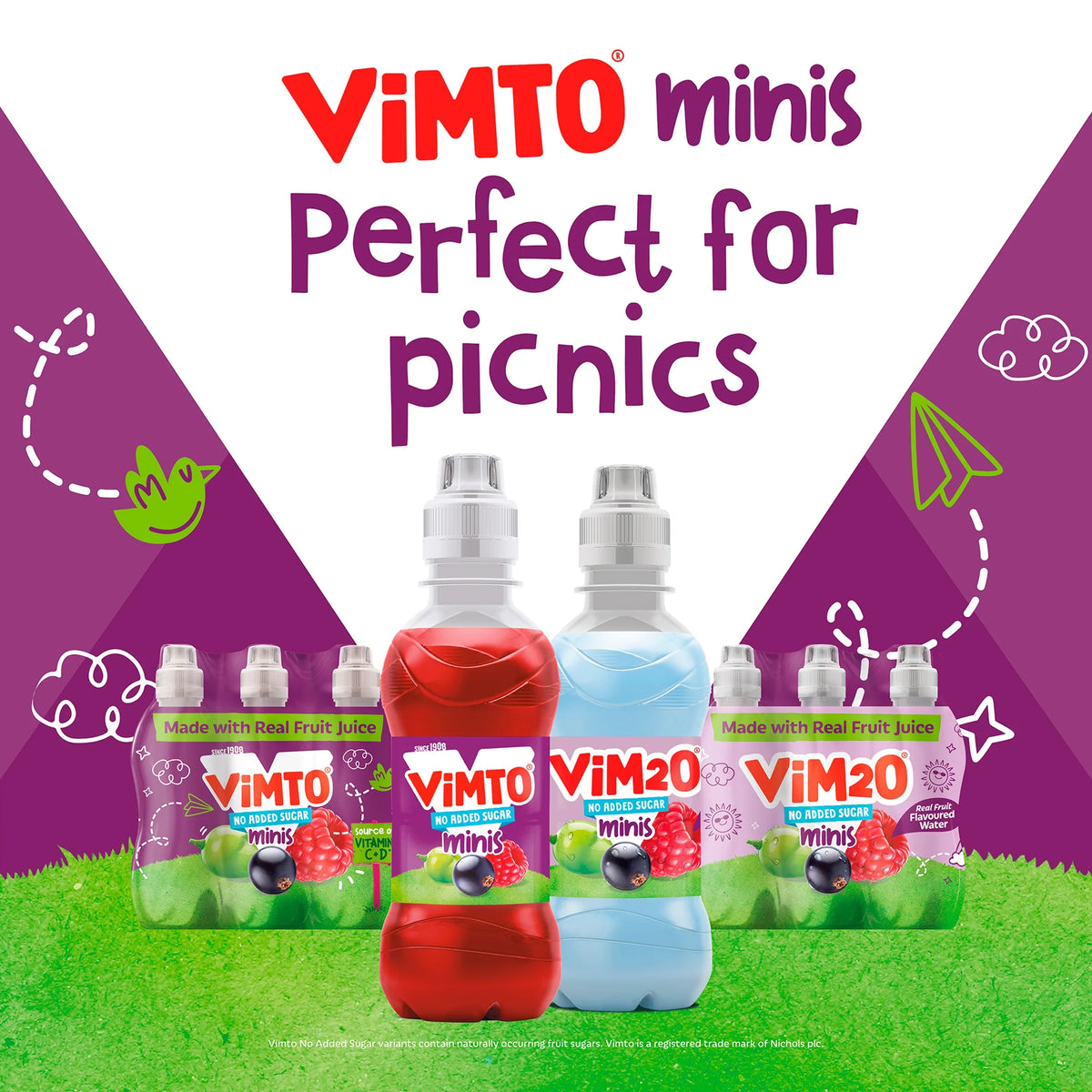 Minis Real Fruit Flavoured Water 6x250ml by ViM2O at The British Vault