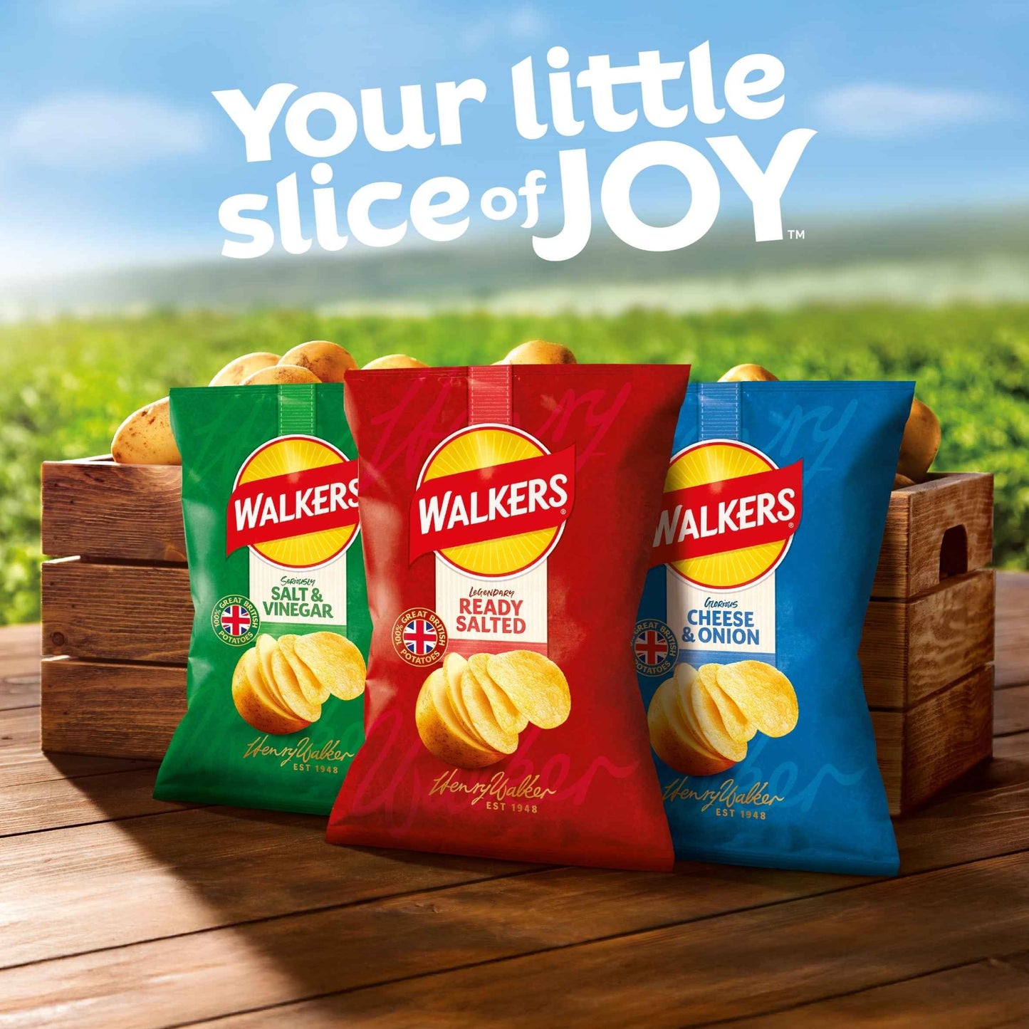 Cheese & Onion Grab Bag Crisps 45g by WALKERS