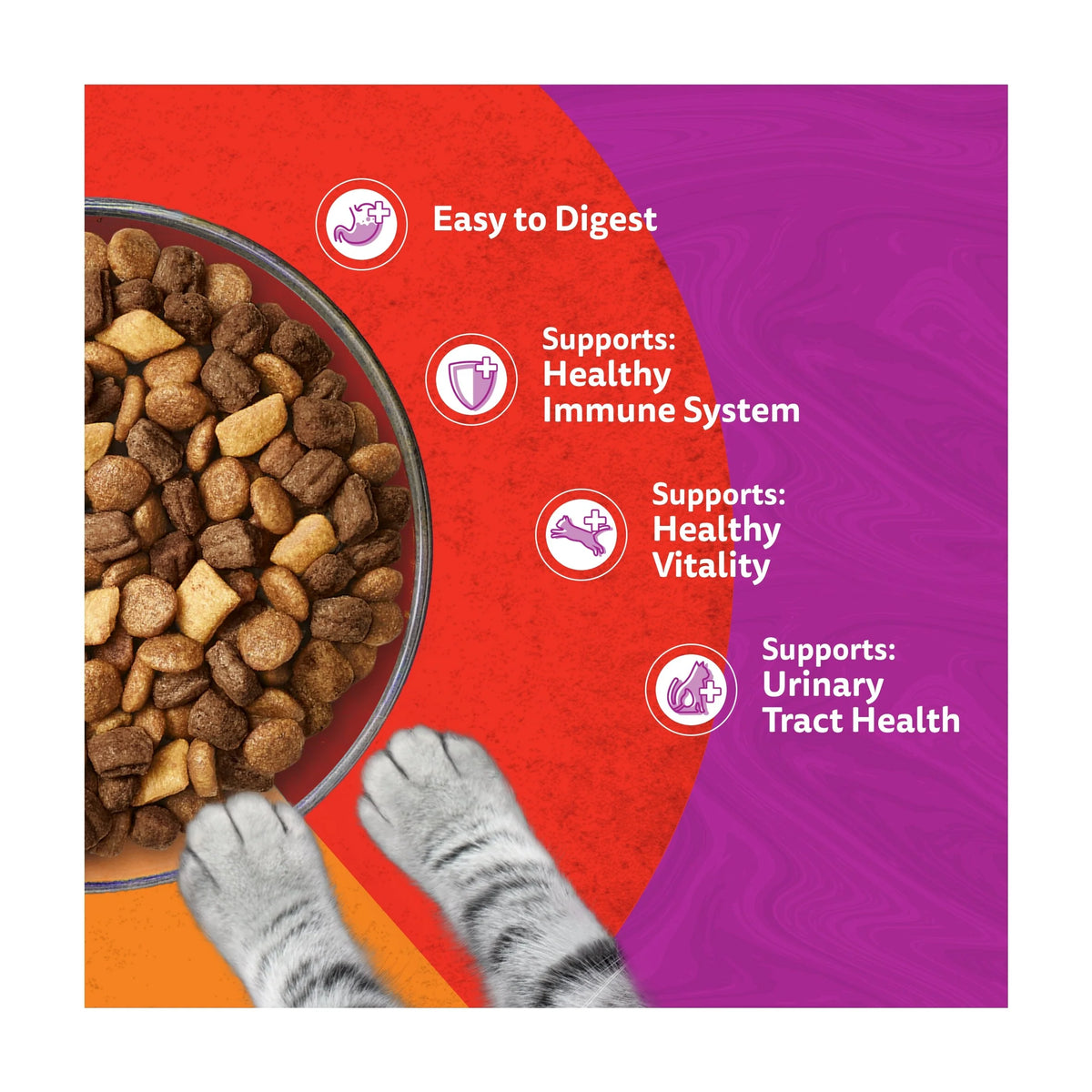 1+ Complete Dry Cat Food Duo Meaty by whiskas at The British Vault