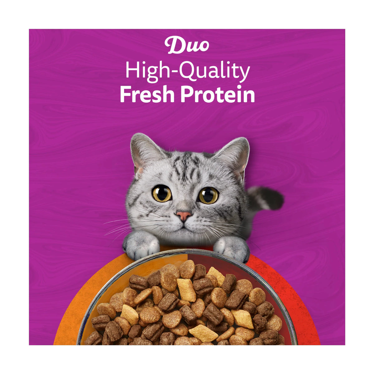 1+ Complete Dry Cat Food Duo Meaty by whiskas at The British Vault