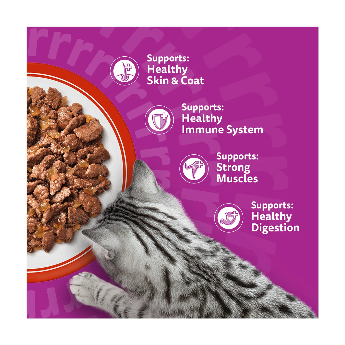 Adult Wet Cat Food Pouches Meaty by whiskas at The British Vault