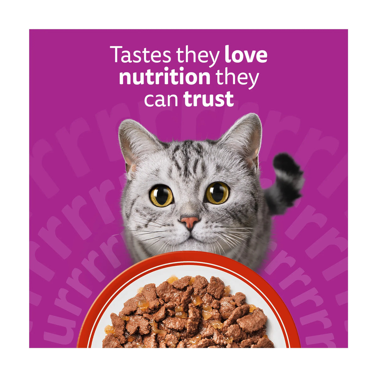 Adult Wet Cat Food Pouches Meaty by whiskas at The British Vault