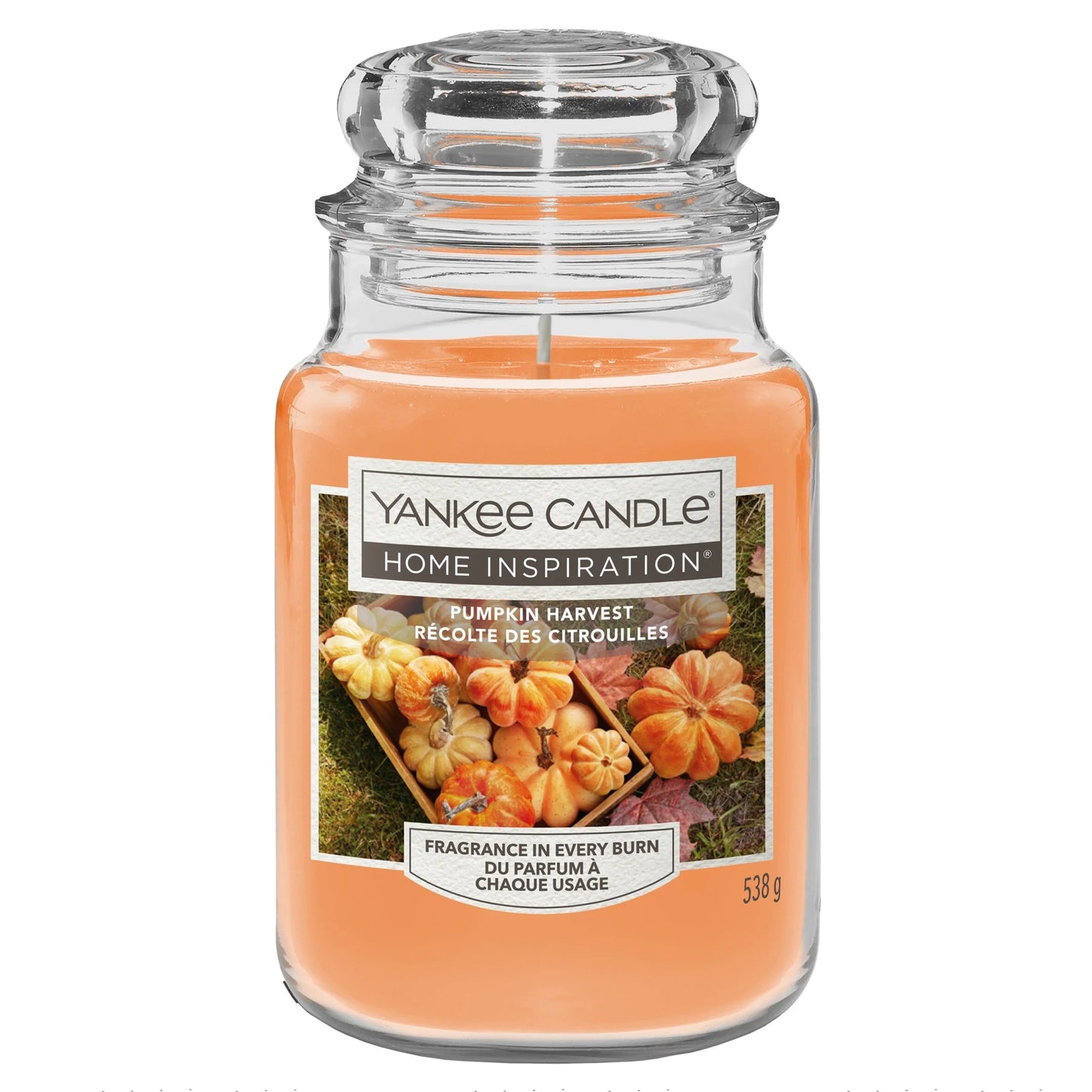 Large Jar Pumpkin Harvest 538g by YANKee CANDLe