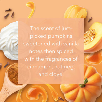 Large Jar Pumpkin Harvest 538g by YANKee CANDLe