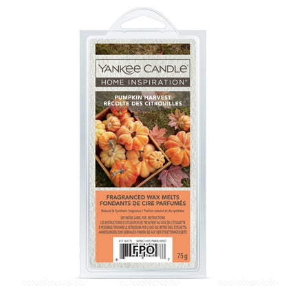 Pumpkin Harvest 6 Wax Melts 75g by YANKee CANDLe at The British Vault