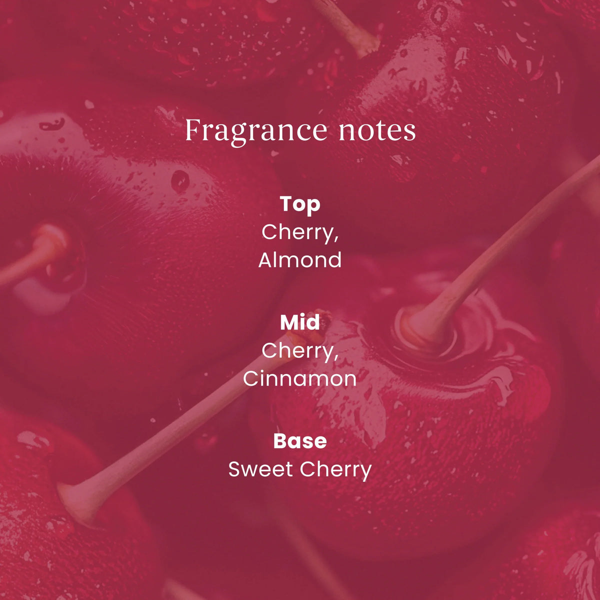 Signature Black Cherry Small by YANKee CANDLe at The British Vault