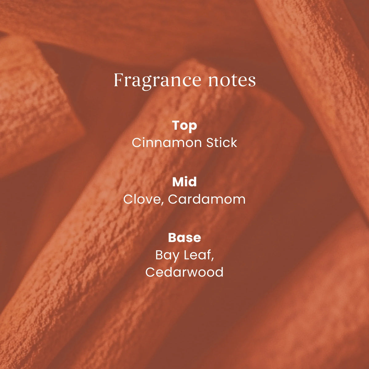 Signature Cinnamon Stick Small by YANKee CANDLe at The British Vault