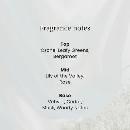 Signature Clean Cotton Small by YANKee CANDLe at The British Vault