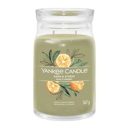 Signature Large Jar Sage & by YANKee CANDLe