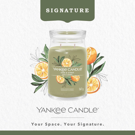 Signature Large Jar Sage & by YANKee CANDLe