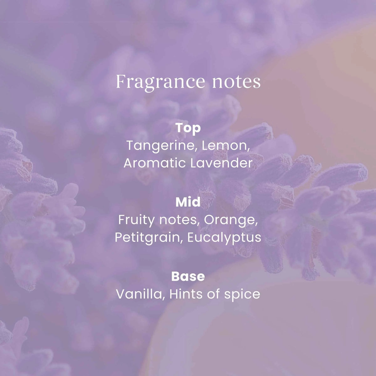 Signature Lemon Lavender Medium by YANKee CANDLe