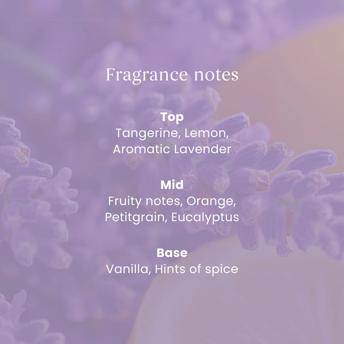 Signature Lemon Lavender Small by YANKee CANDLe at The British Vault