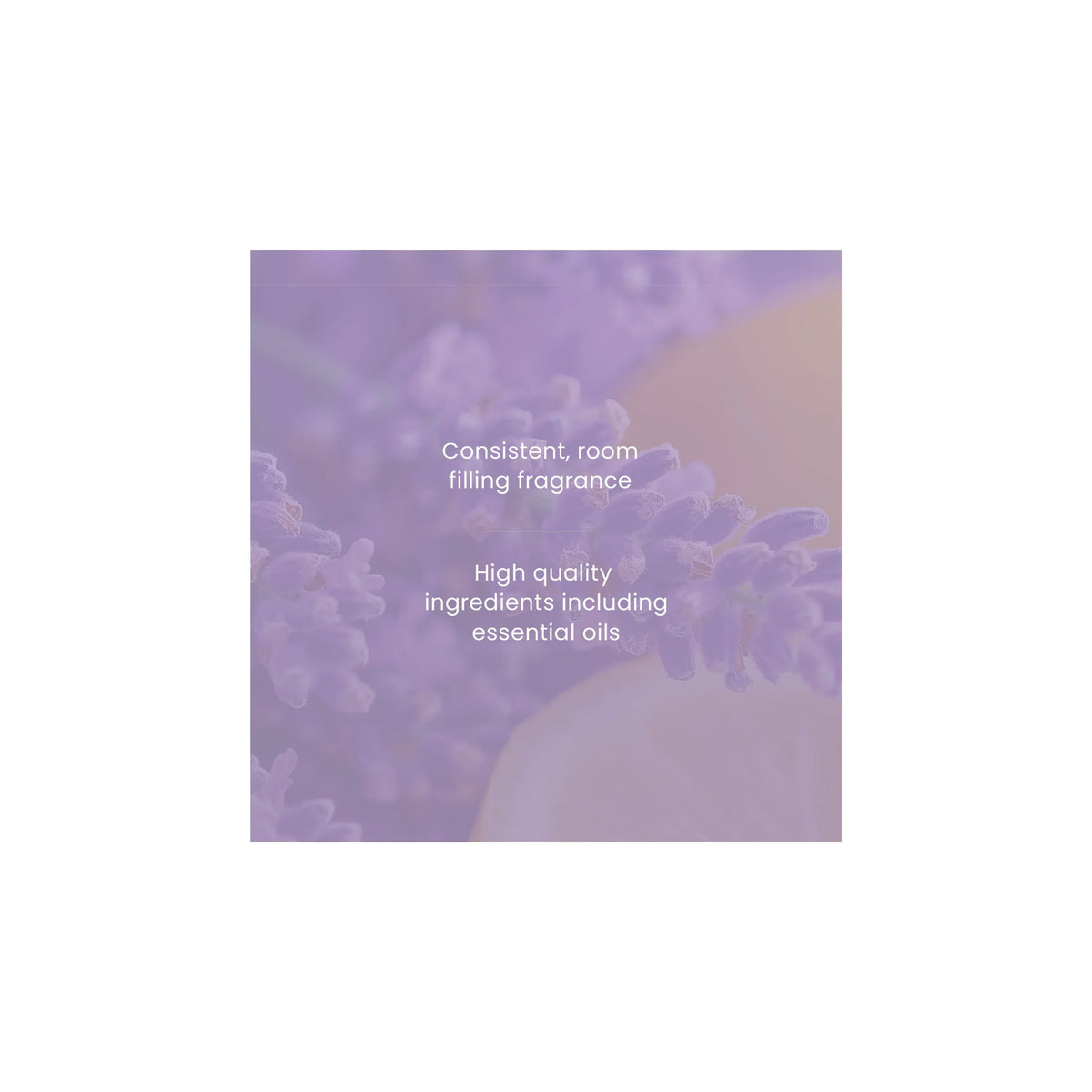 Signature Lemon Lavender Small by YANKee CANDLe at The British Vault