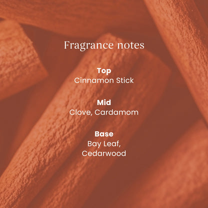 Signature Medium Jar Cinnamon by YANKee CANDLe at The British Vault