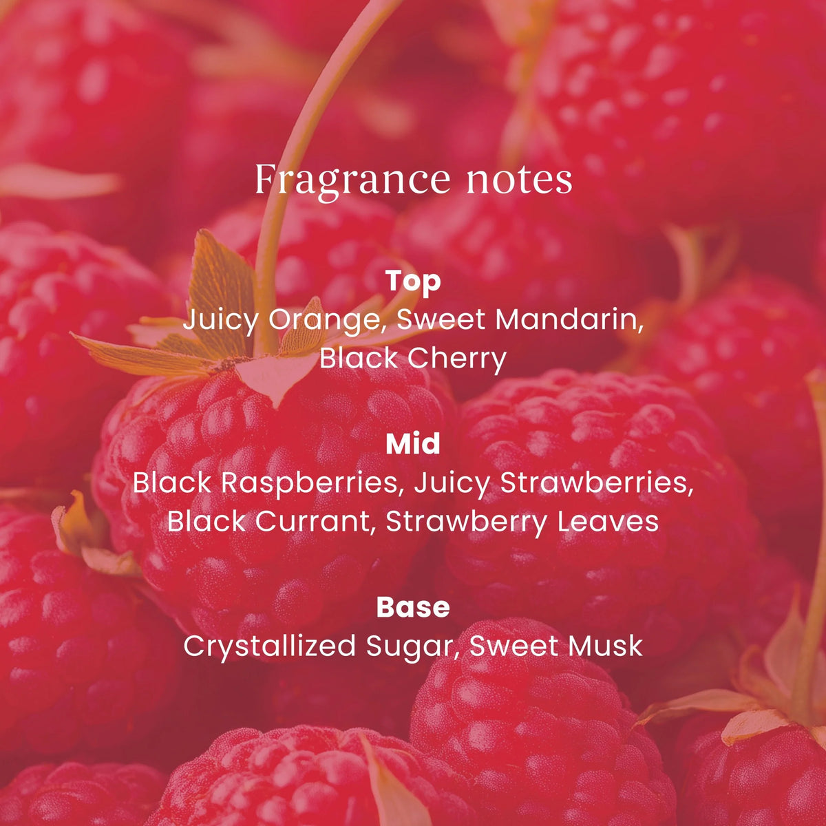 Signature Red Raspberry Small by YANKee CANDLe at The British Vault