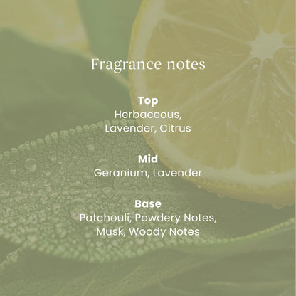 Signature Sage & Citrus Small by YANKee CANDLe