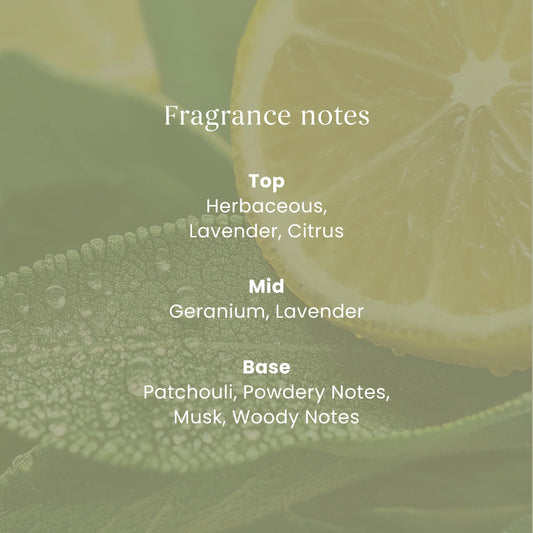 Signature Sage & Citrus Small by YANKee CANDLe