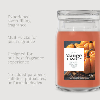 Signature Spiced Pumpkin Large by YANKee CANDLe at The British Vault